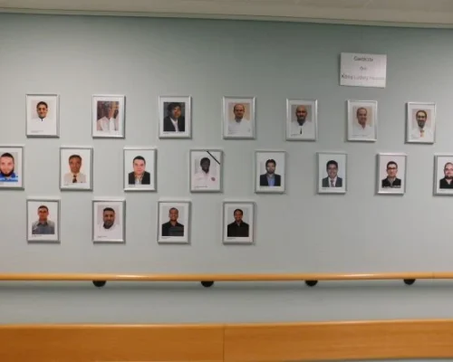 gallery sport orthopedics